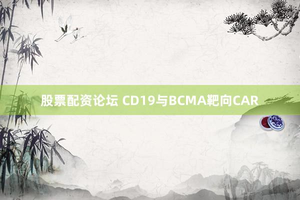 股票配资论坛 CD19与BCMA靶向CAR