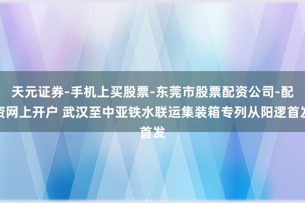 天元证券-手机上买股票-东莞市股票配资公司-配资网上开户 武汉至中亚铁水联运集装箱专列从阳逻首发