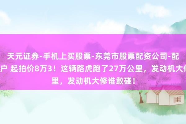 天元证券-手机上买股票-东莞市股票配资公司-配资网上开户 起拍价8万3！这辆路虎跑了27万公里，发动机大修谁敢碰！