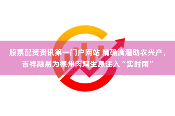 股票配资资讯第一门户网站 精确滴灌助农兴产，吉祥融易为德州肉鸡生息注入“实时雨”