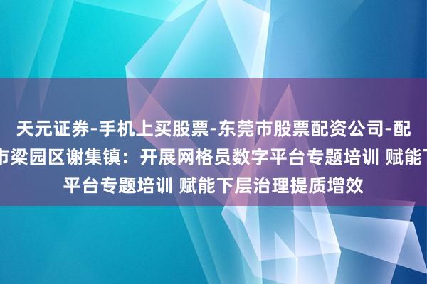 天元证券-手机上买股票-东莞市股票配资公司-配资网上开户 商丘市梁园区谢集镇：开展网格员数字平台专题培训 赋能下层治理提质增效