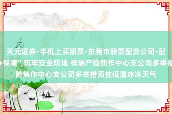 天元证券-手机上买股票-东莞市股票配资公司-配资网上开户 “公益+保障”筑牢安全防地 祥瑞产险焦作中心支公司多举措顶住低温冰冻天气