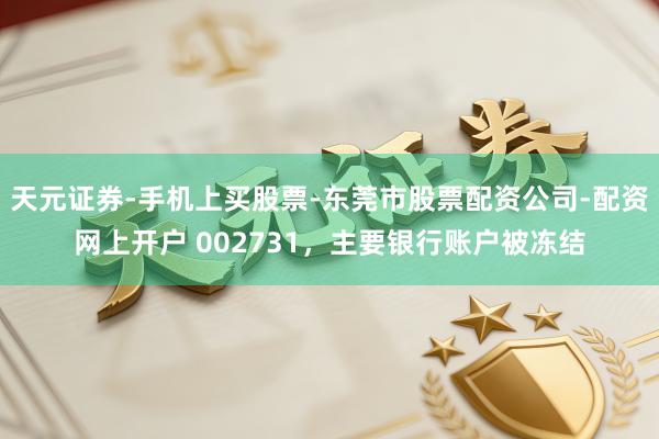 天元证券-手机上买股票-东莞市股票配资公司-配资网上开户 002731，主要银行账户被冻结